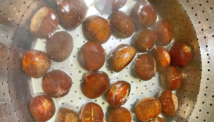 新鮮栗子煮法