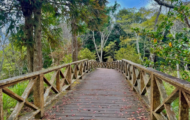 南部省道景點推薦