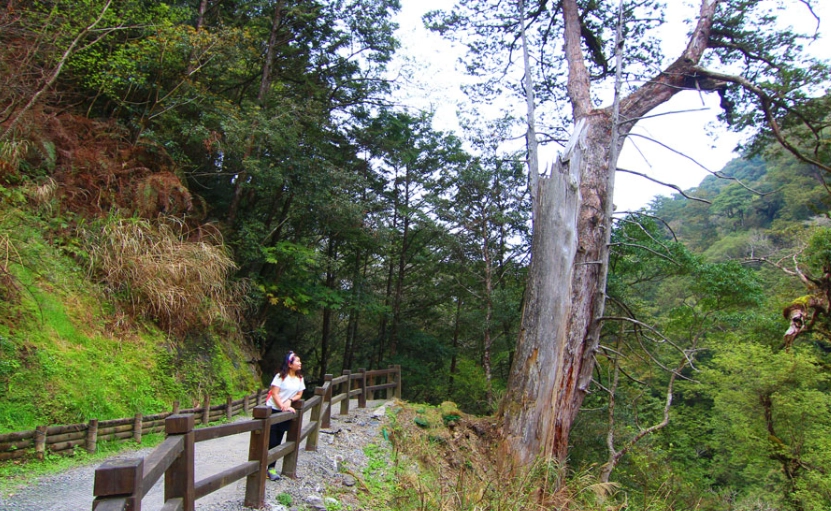 桃竹苗一日遊行程