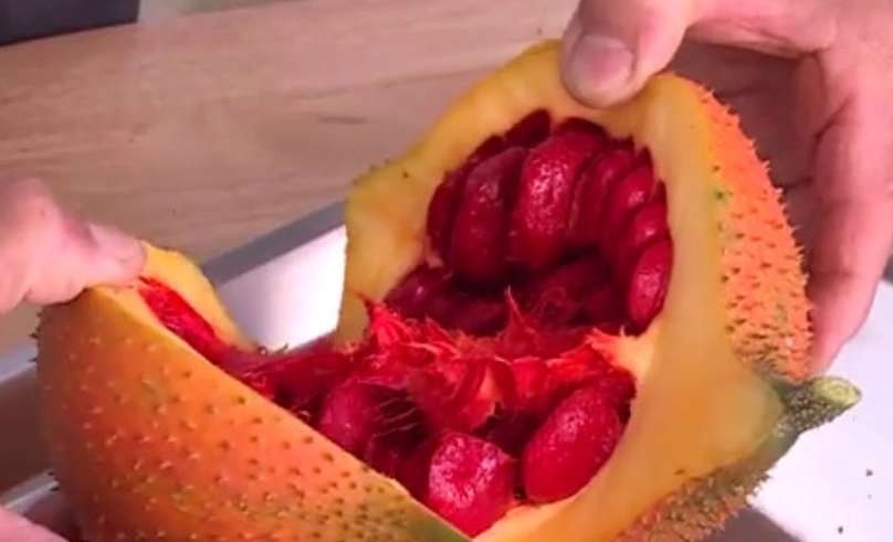 木鱉果眼睛功效