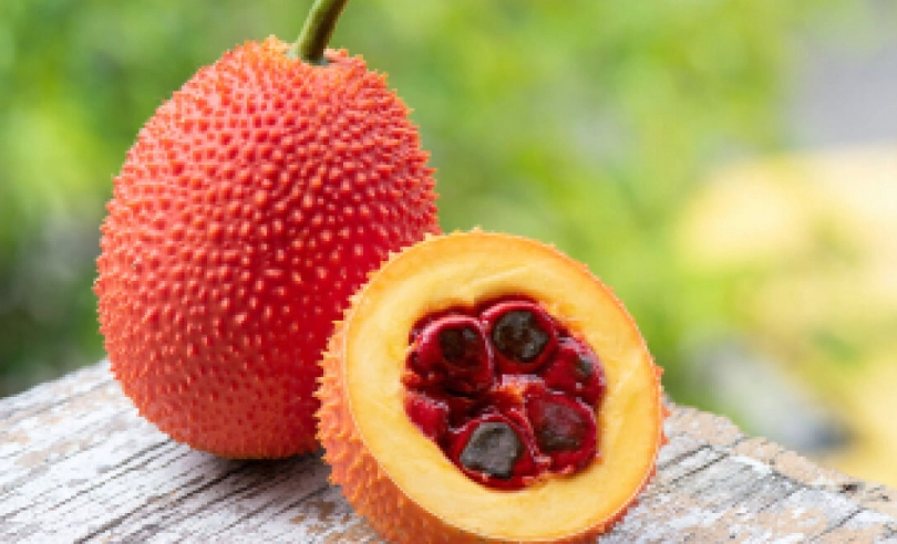 木鱉果過敏反應