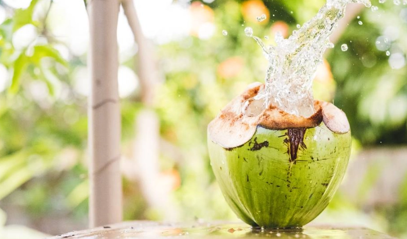 椰子水飲用時機