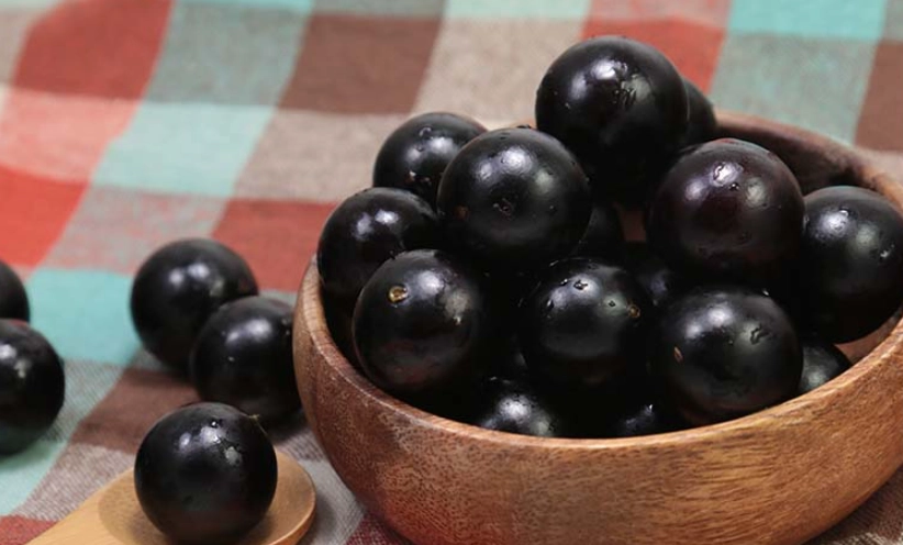 樹葡萄食用安全