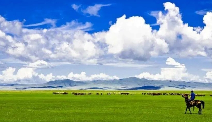 內蒙古草原旅遊