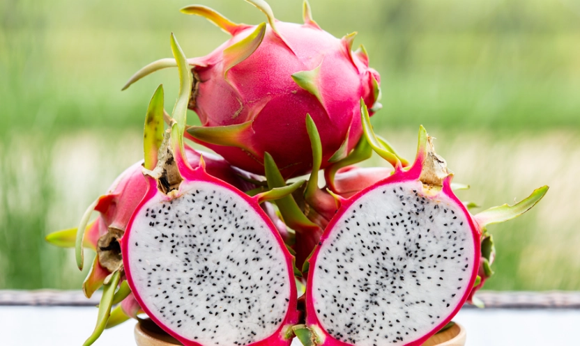 晚上吃火龍果影響