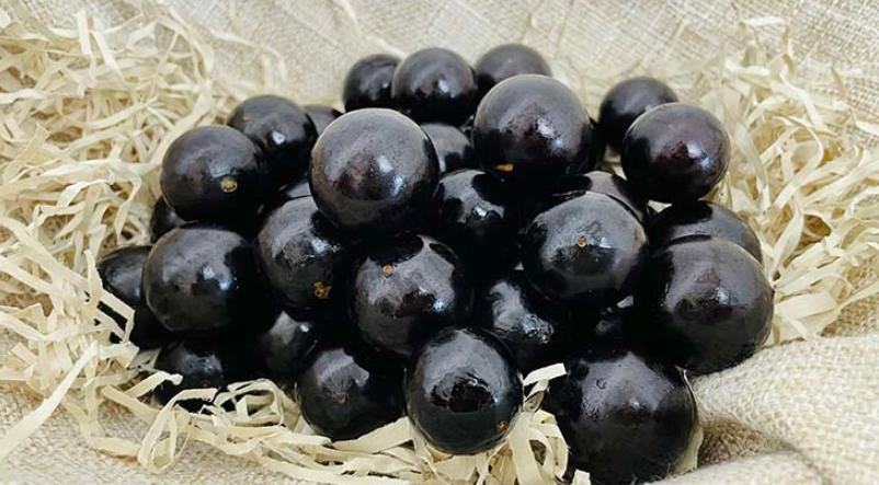 樹葡萄食用安全