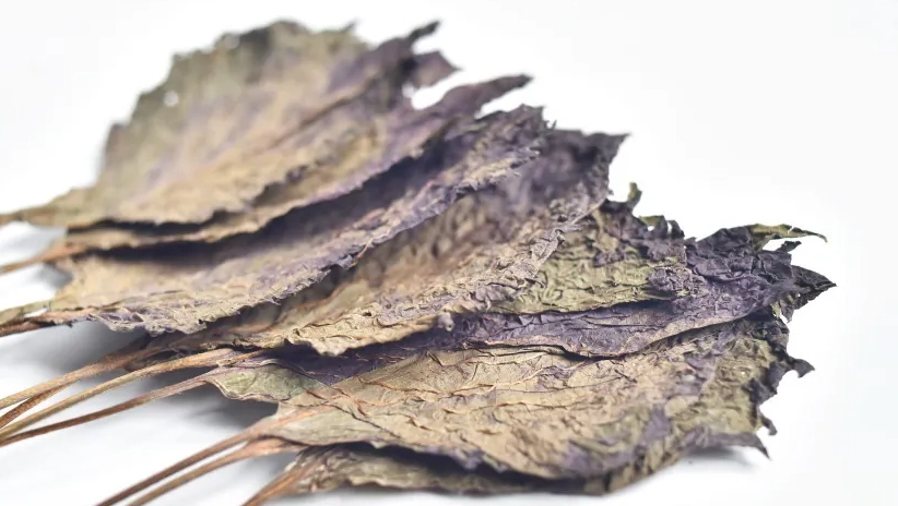 紫蘇葉健康益處