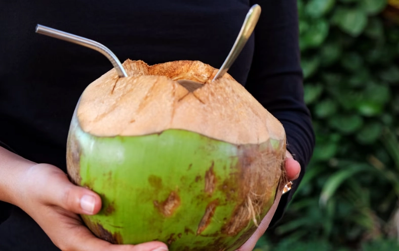 椰子水對膽固醇的影響