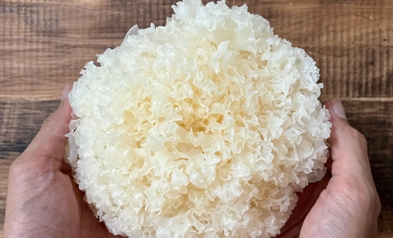 白木耳隔夜食用安全