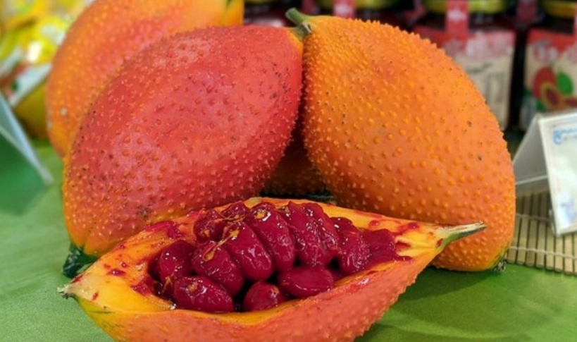 誰不能吃木鱉果