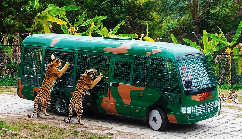 深圳週末親子行程