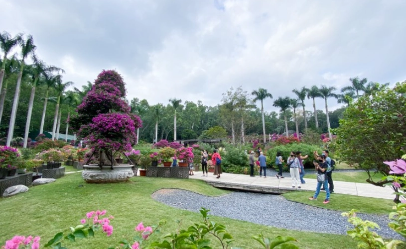 深圳好玩的地方