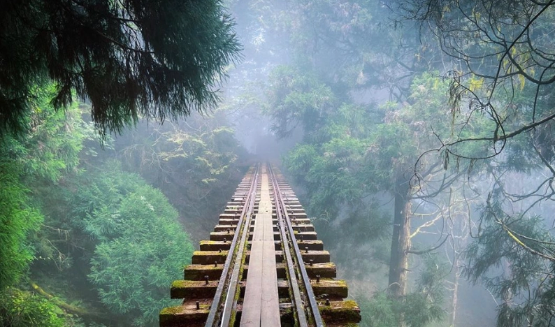 阿裡山旅遊攻略