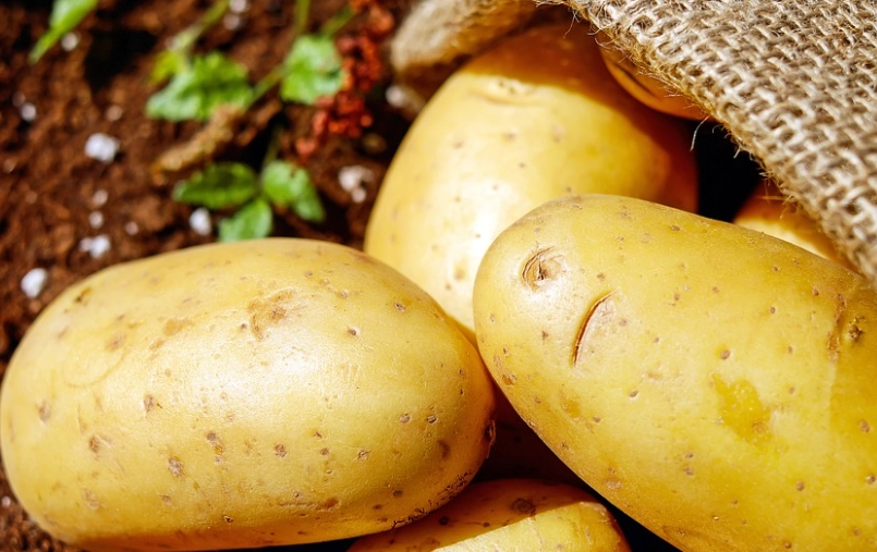 蔬菜隔夜食用安全