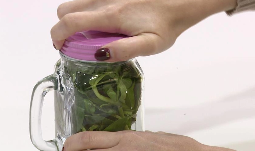 九層塔保存方法