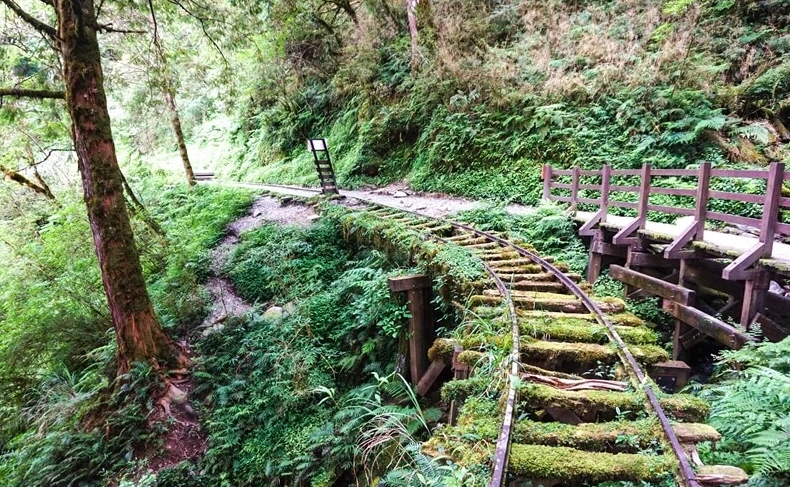 太平山森林遊樂區交通