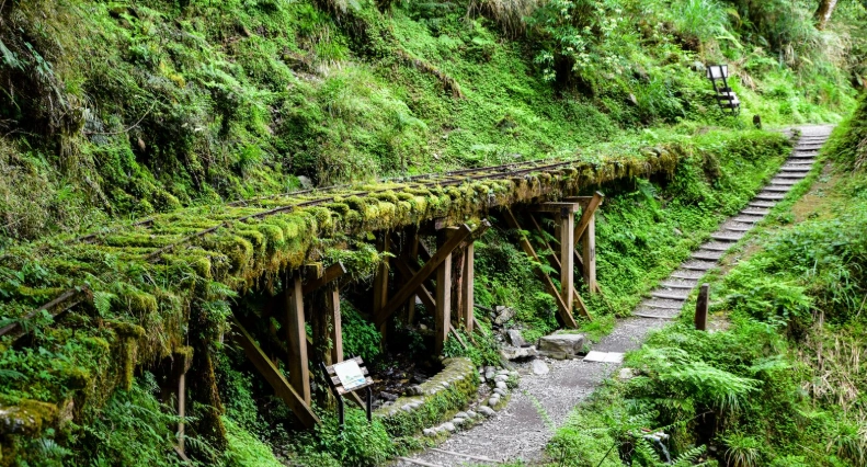 太平山步道推薦