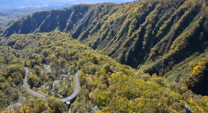 北海道滑雪交通
