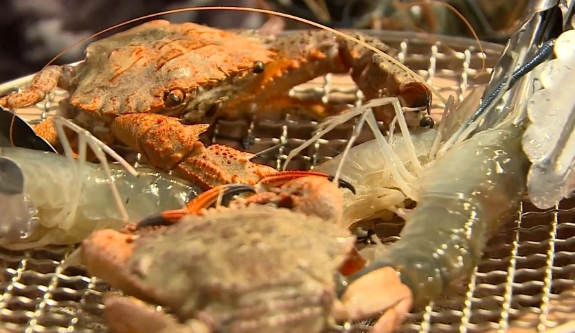 流水蝦吃到飽推薦