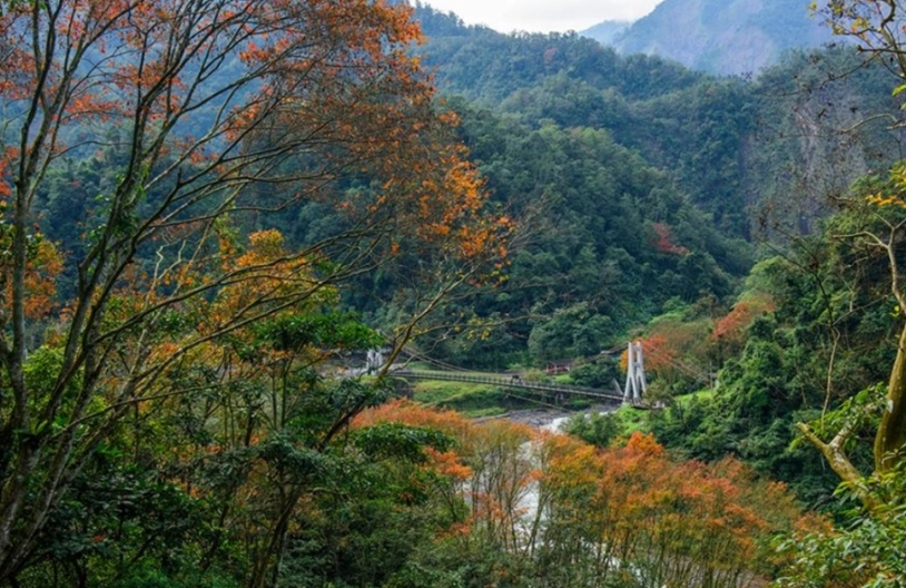 太平山國家森林遊樂區攻略