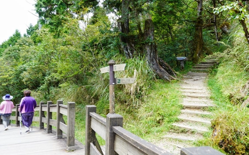 翠峰湖步道時間