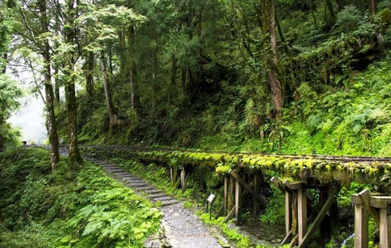 太平山旅遊行程