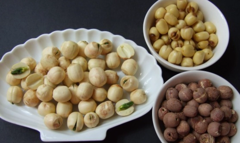 白蓮子紅蓮子分別