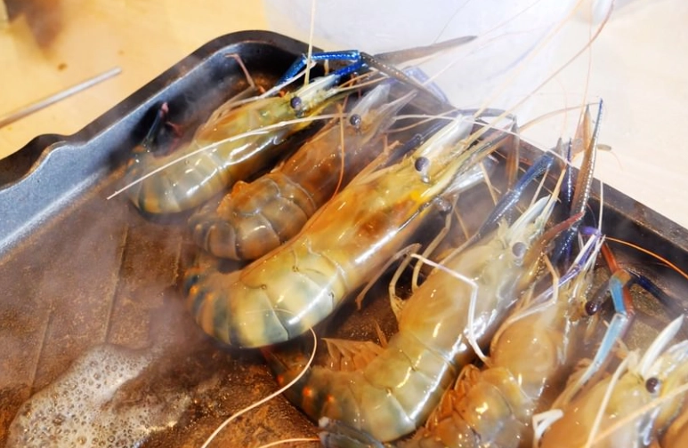 流水蝦吃到飽推薦