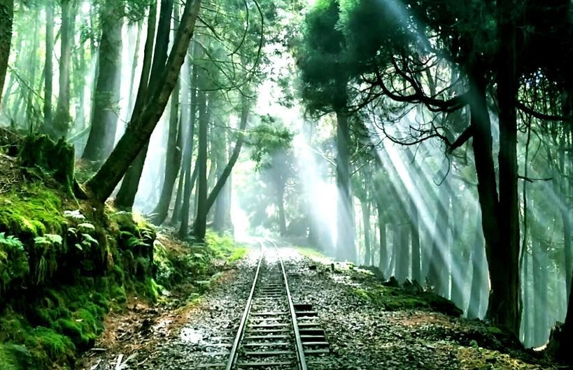 阿裡山隱藏景點