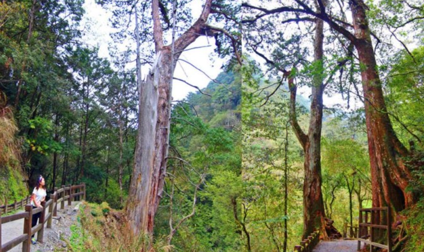 拉拉山登山路線