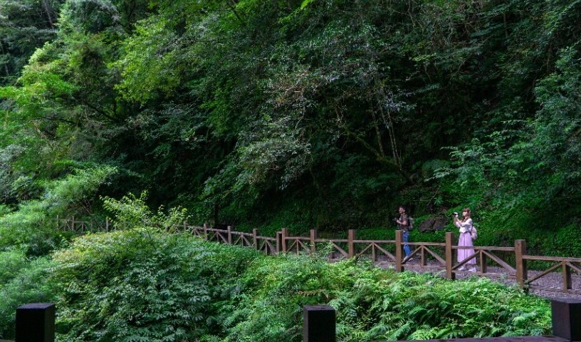 拉拉山交通方式