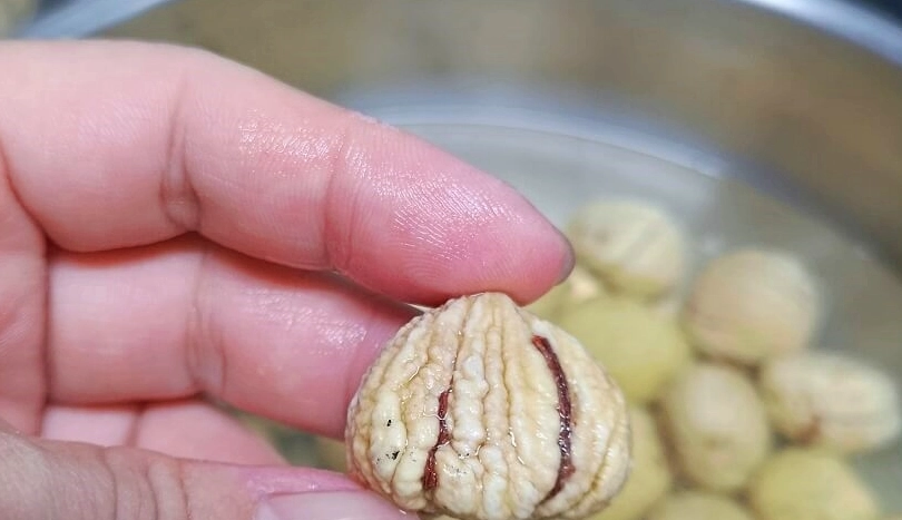 乾栗子泡發技巧