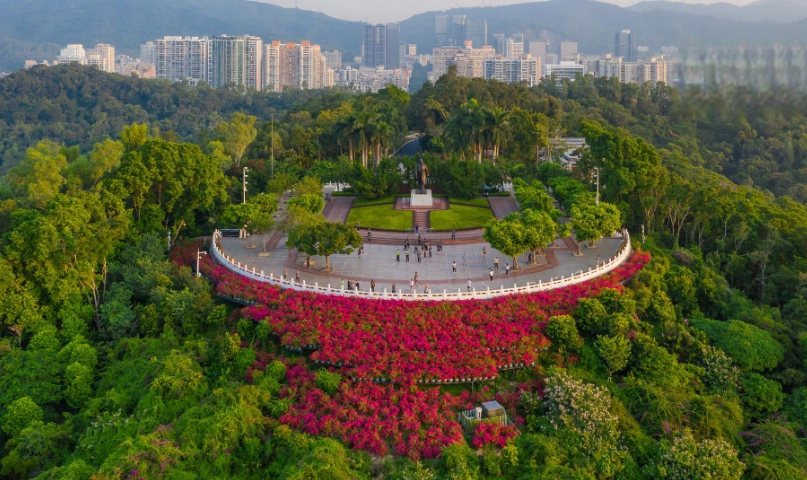 香港深圳交通指南