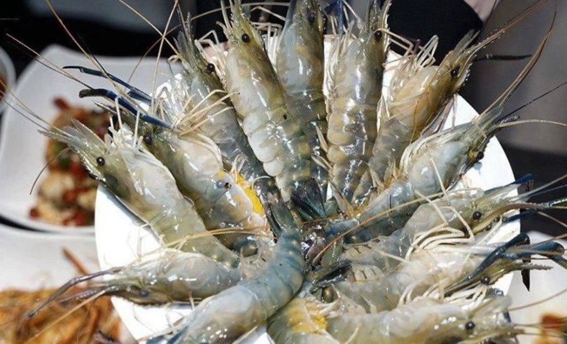 泰國蝦吃到飽新竹