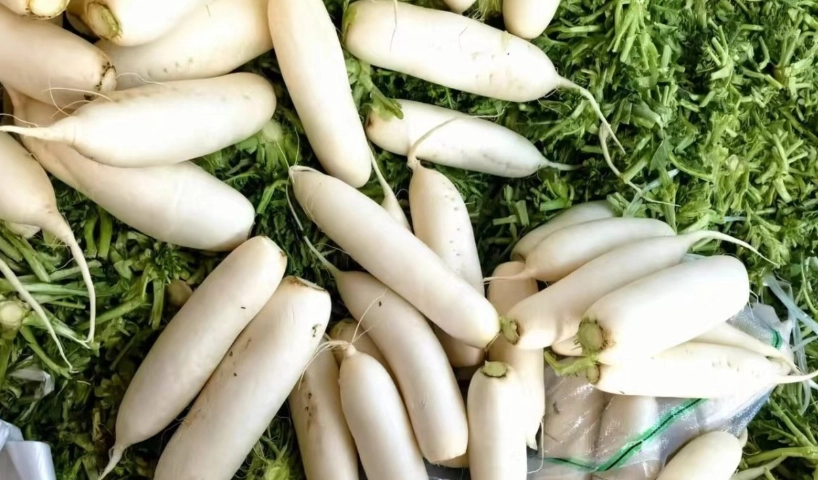 白蘿蔔苦味處理