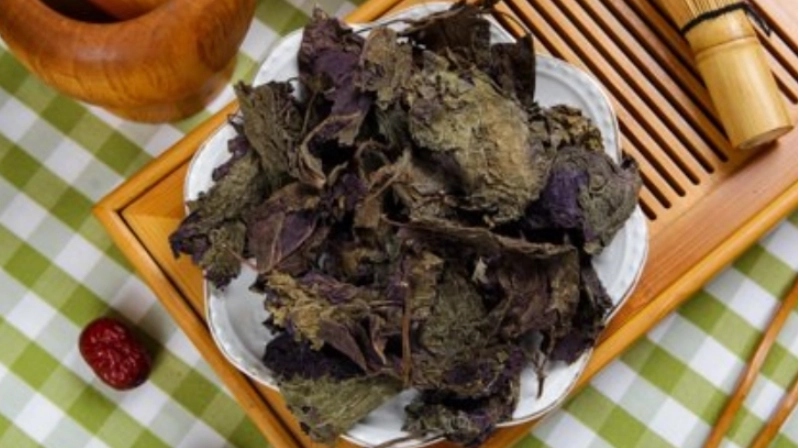 紫蘇葉料理方法