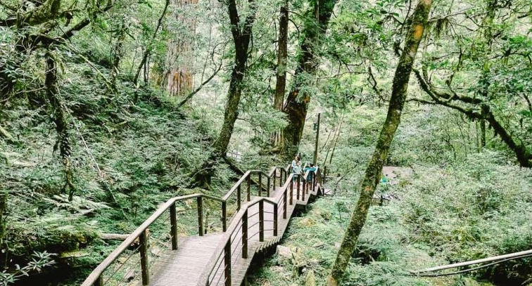 拉拉山步道長度