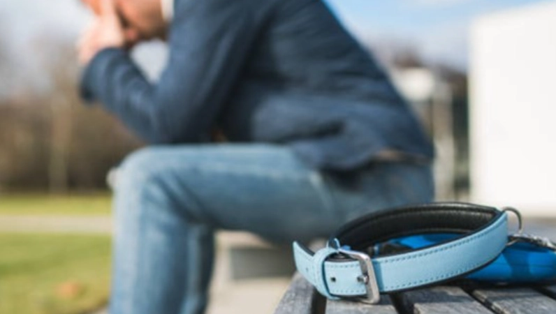 寵物離世心理調適