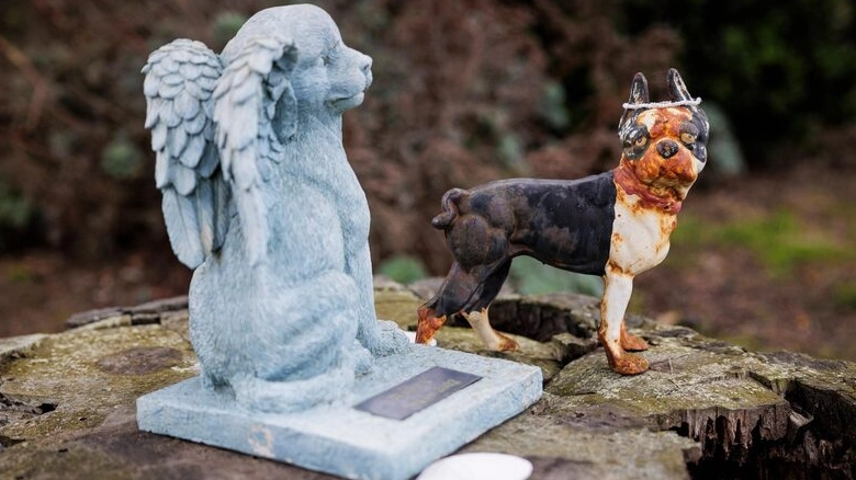 如何走出喪寵之痛