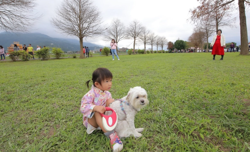 宜蘭室內寵物友善