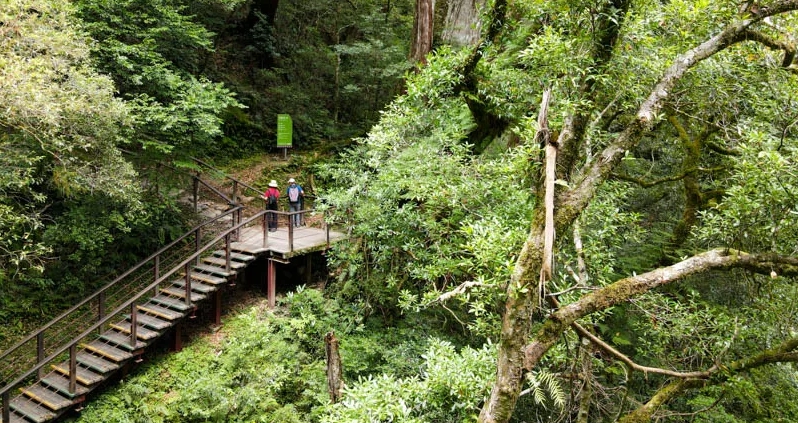 拉拉山徒步攻略