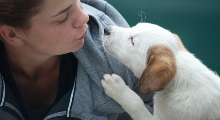 如何走出喪寵之痛