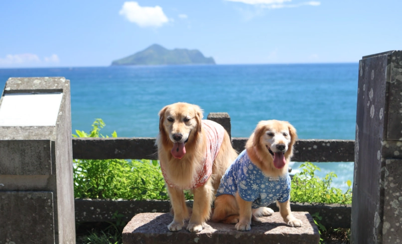 宜蘭帶寵物旅遊