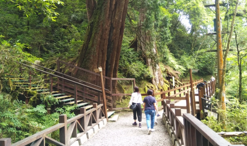 拉拉山步道長度