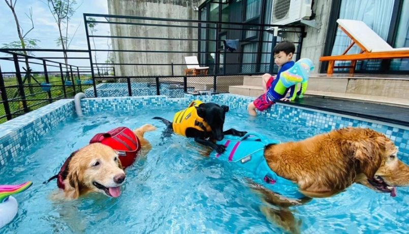 宜蘭寵物友善景點