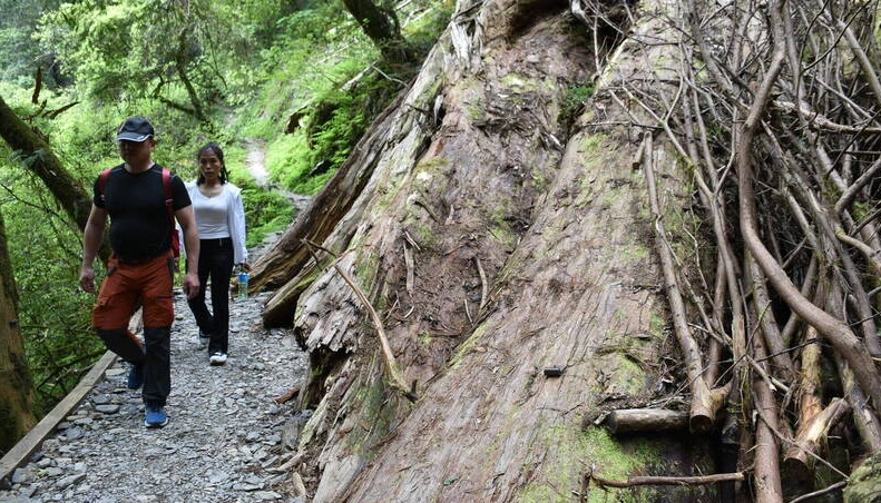 拉拉山徒步攻略