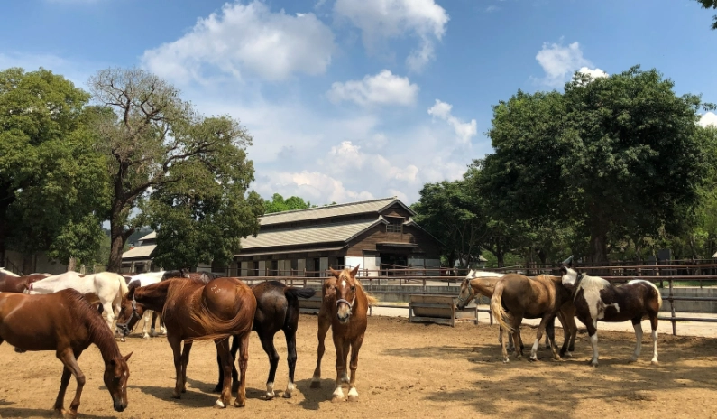 麗寶樂園住宿推薦