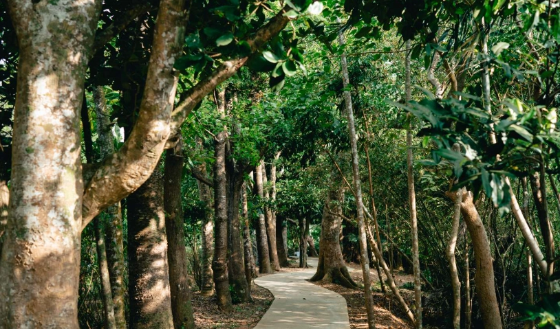 台灣國家公園 比較