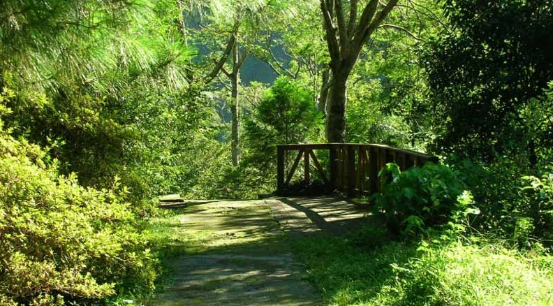 台灣森林遊樂區優惠