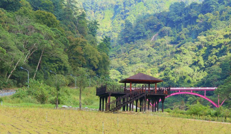 森林遊樂區免費入園